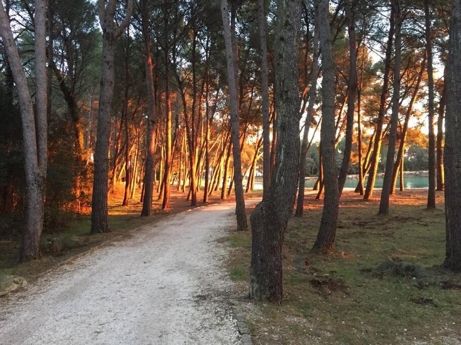 Apartment Capo D'Oro โรวีน ภายนอก รูปภาพ